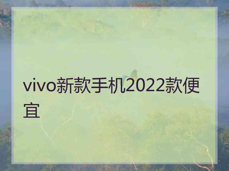 vivo新款手机2022款便宜