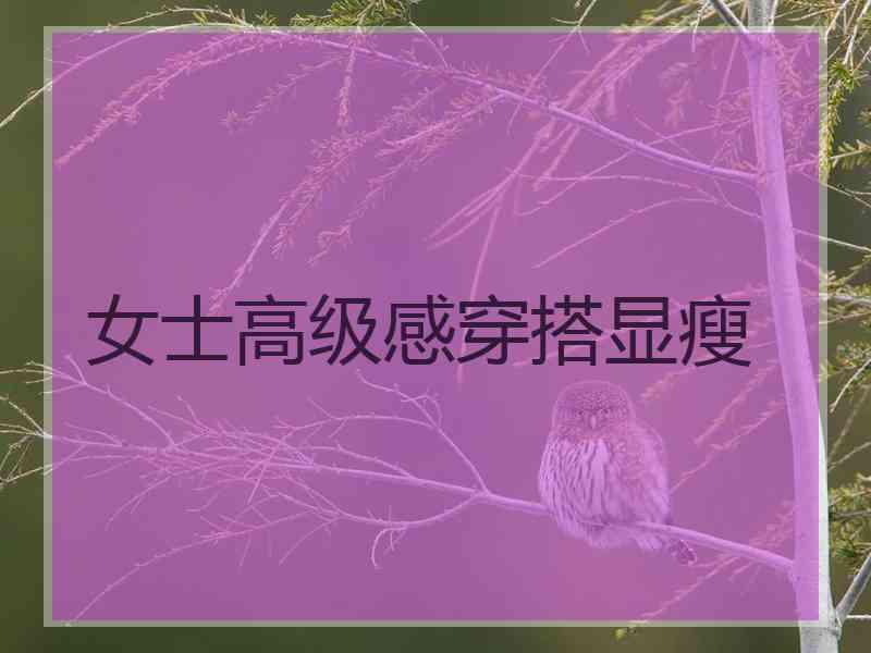 女士高级感穿搭显瘦