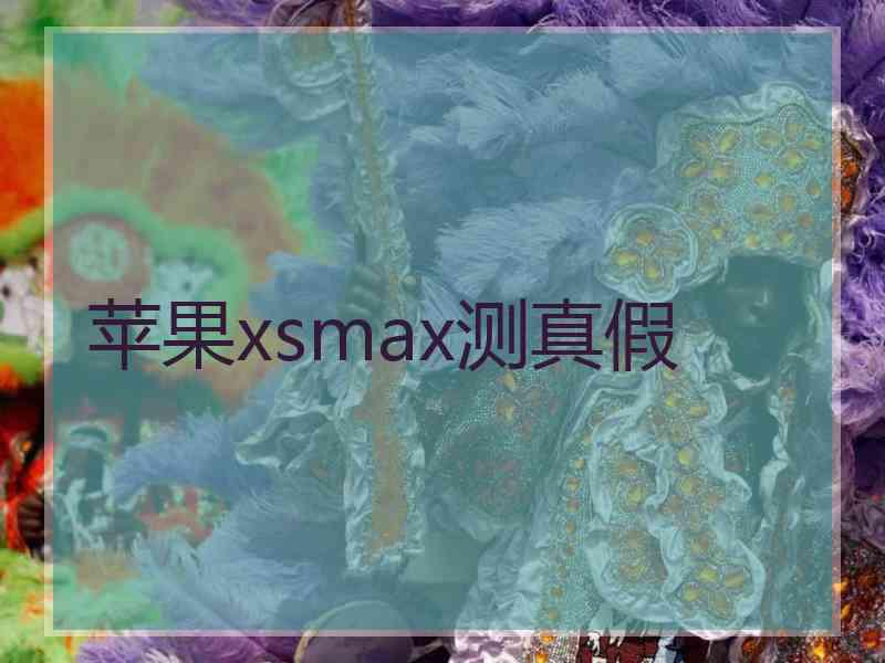 苹果xsmax测真假