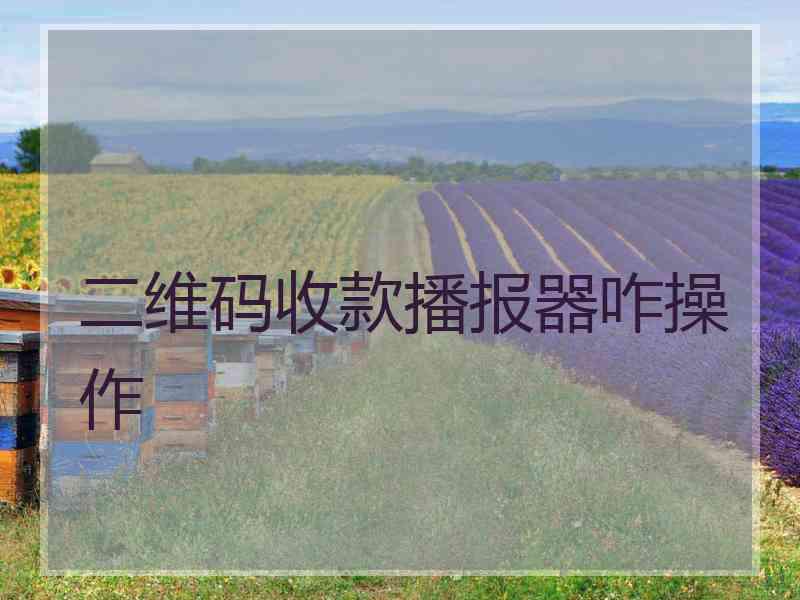 二维码收款播报器咋操作