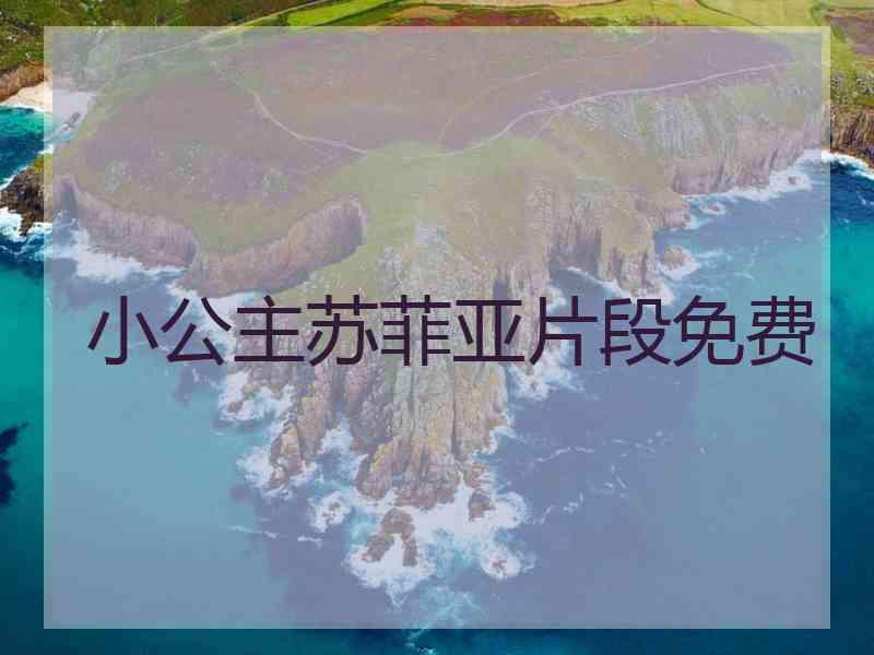 小公主苏菲亚片段免费