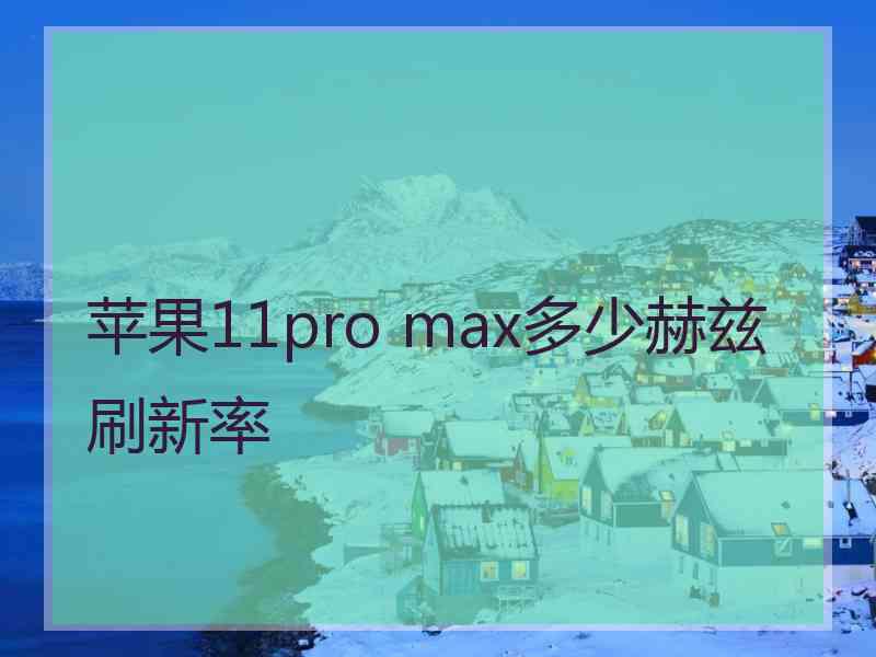 苹果11pro max多少赫兹刷新率