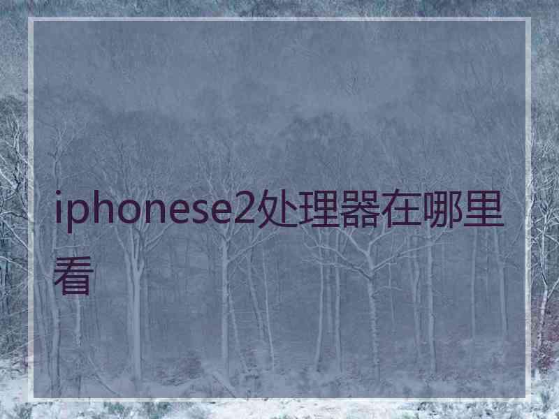 iphonese2处理器在哪里看