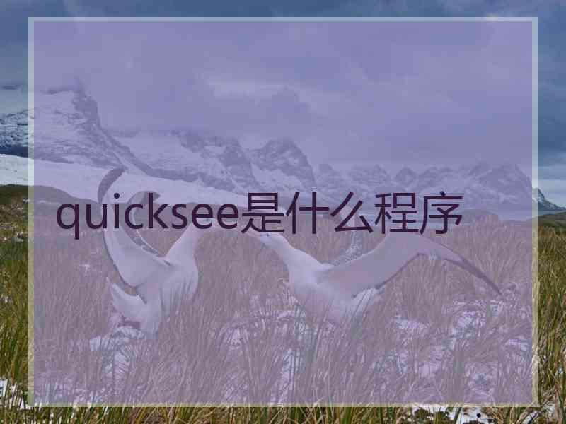 quicksee是什么程序