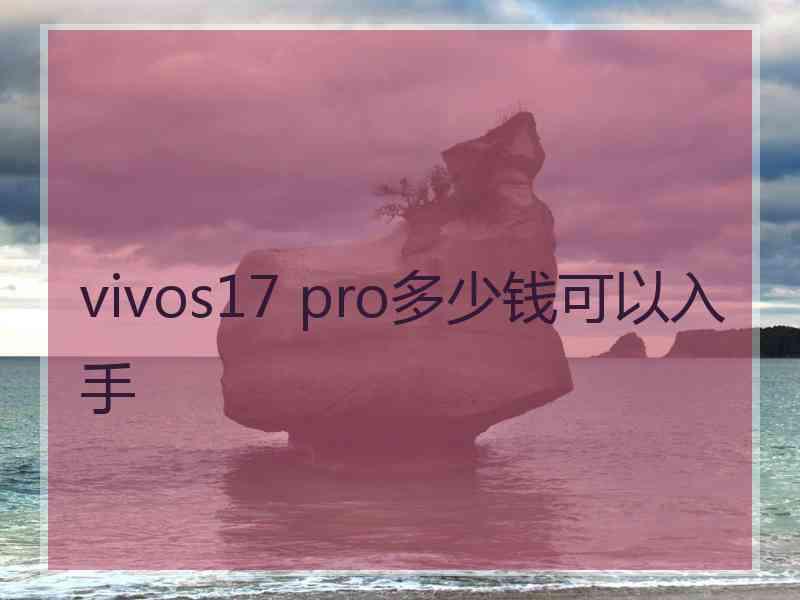 vivos17 pro多少钱可以入手