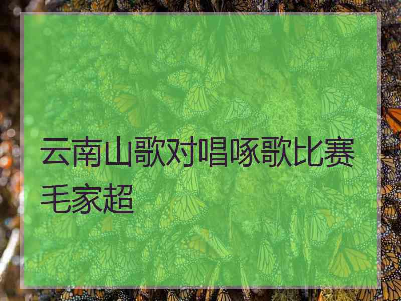 云南山歌对唱啄歌比赛毛家超