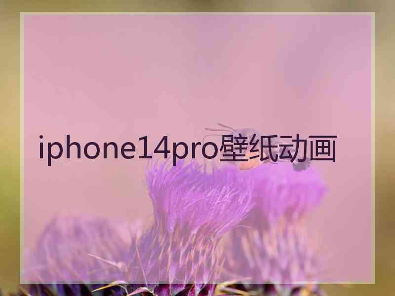 iphone14pro壁纸动画