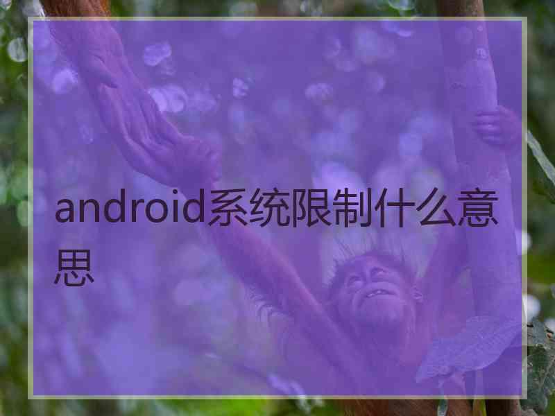 android系统限制什么意思