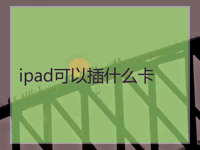 ipad可以插什么卡