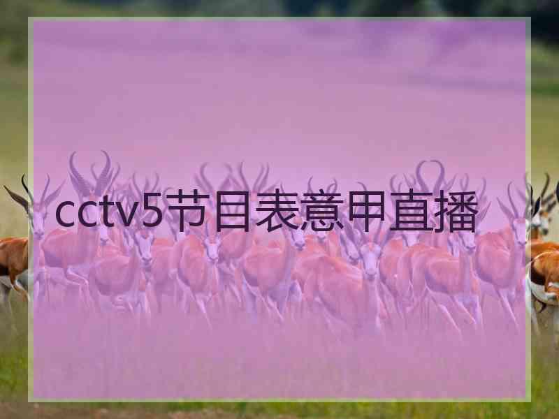 cctv5节目表意甲直播