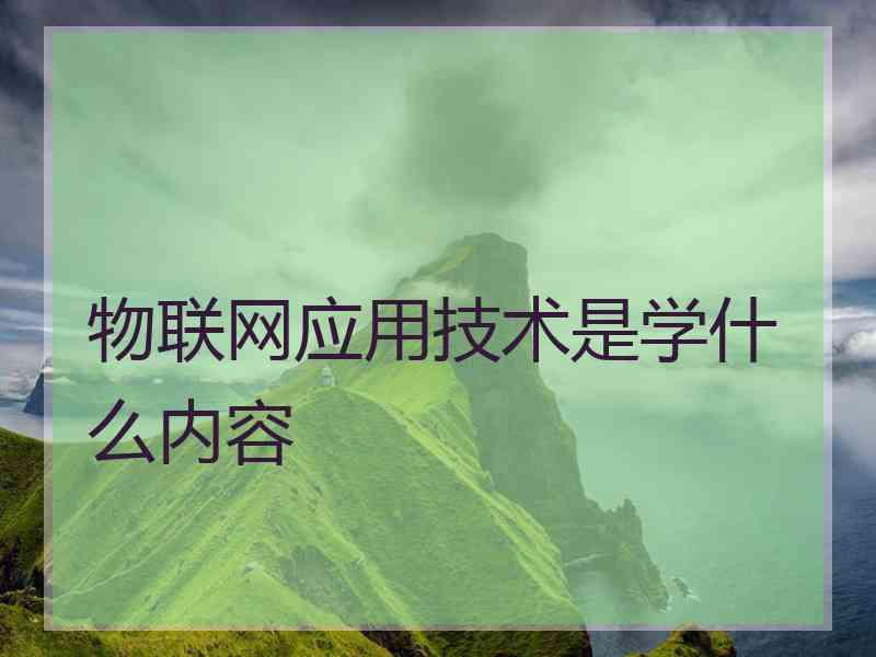 物联网应用技术是学什么内容