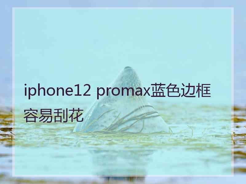 iphone12 promax蓝色边框容易刮花