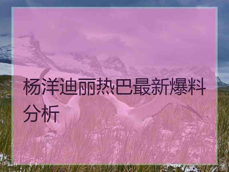 杨洋迪丽热巴最新爆料分析