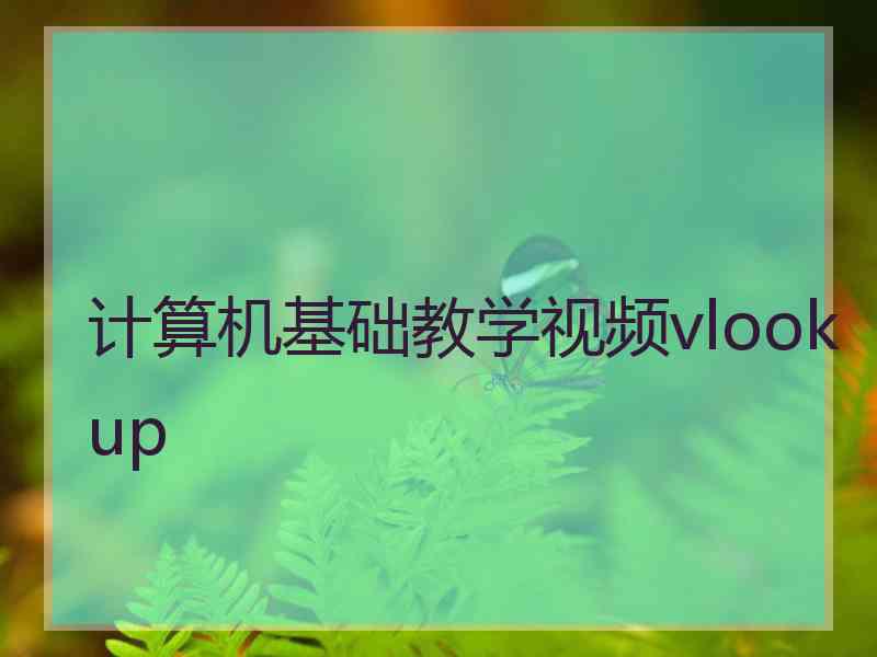 计算机基础教学视频vlookup