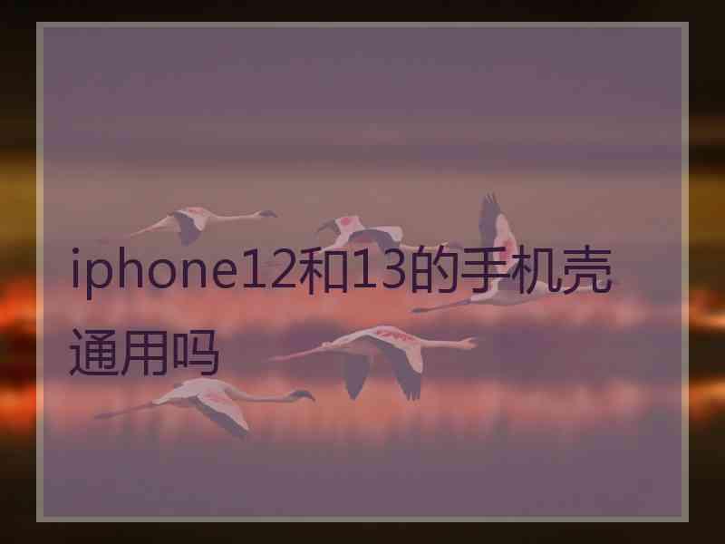 iphone12和13的手机壳通用吗