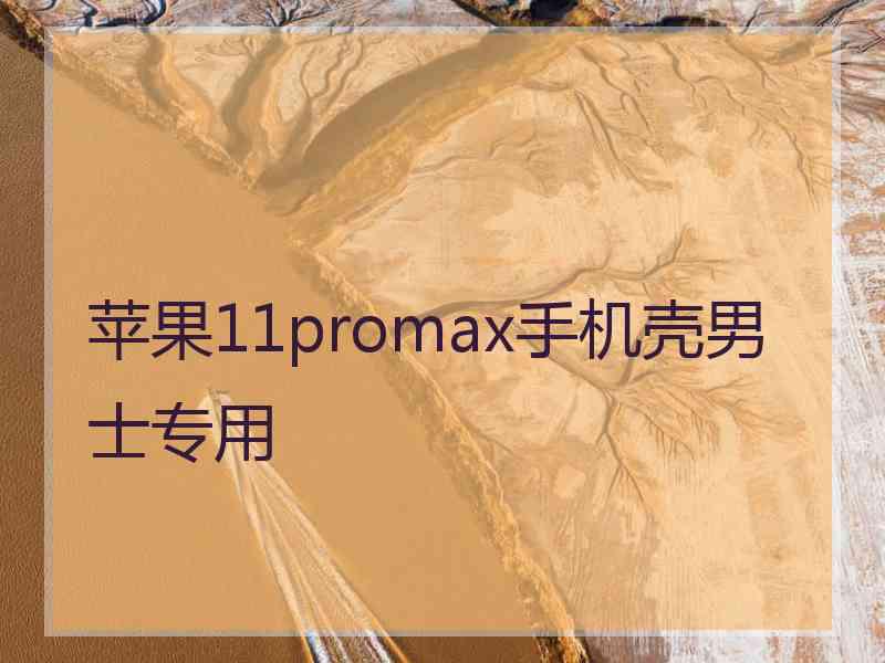 苹果11promax手机壳男士专用