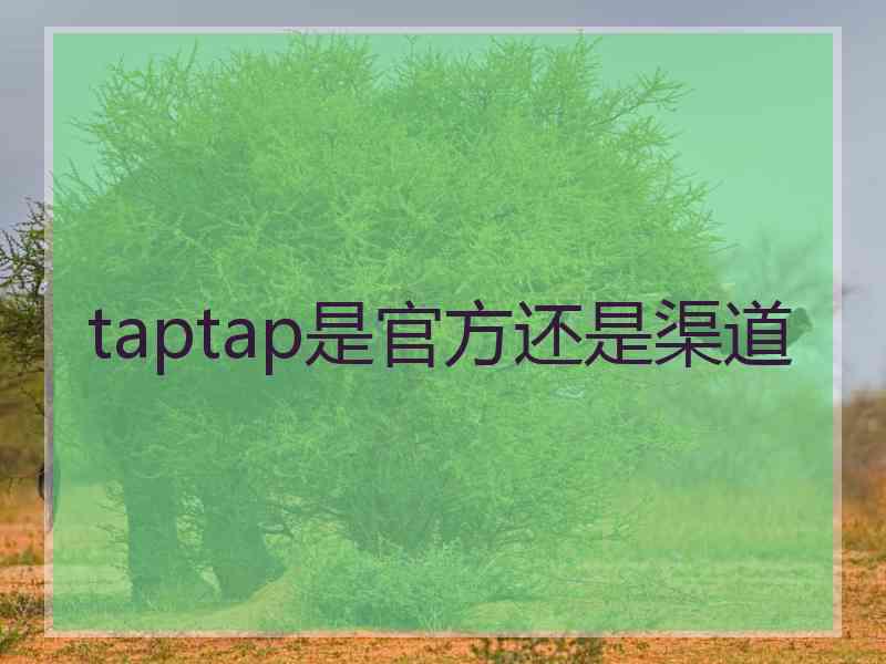 taptap是官方还是渠道