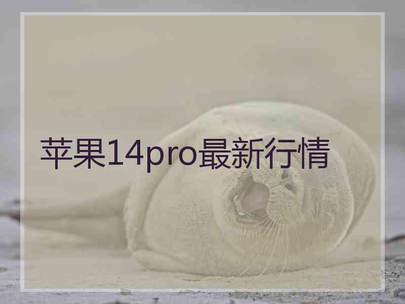 苹果14pro最新行情