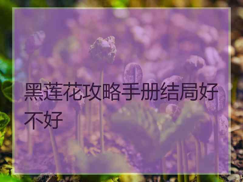 黑莲花攻略手册结局好不好