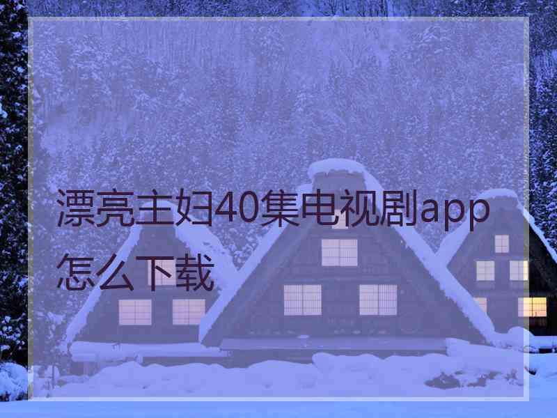 漂亮主妇40集电视剧app怎么下载