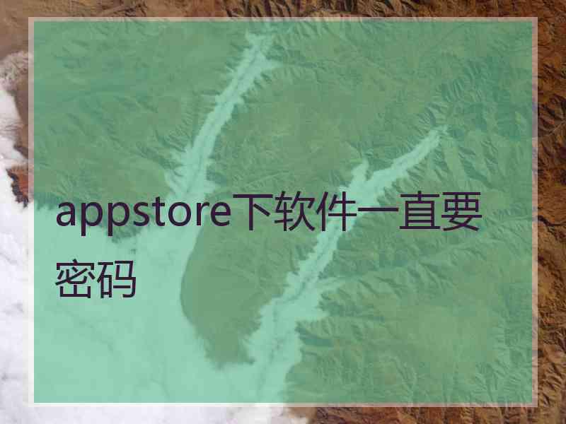 appstore下软件一直要密码