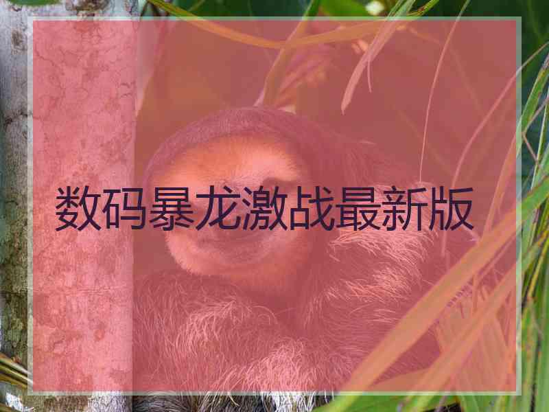 数码暴龙激战最新版