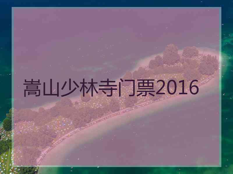 嵩山少林寺门票2016