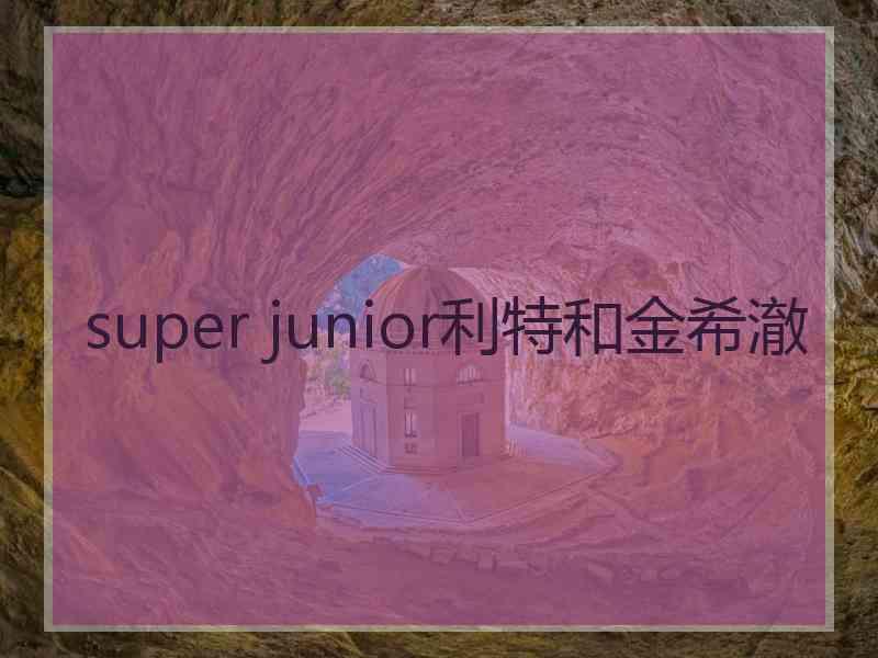 super junior利特和金希澈