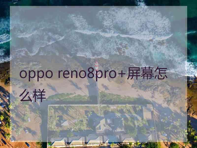 oppo reno8pro+屏幕怎么样