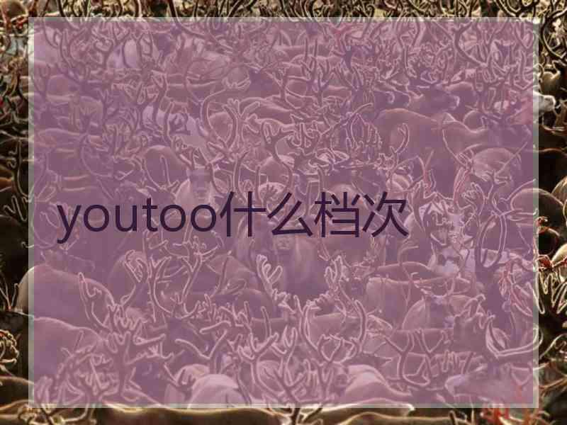 youtoo什么档次