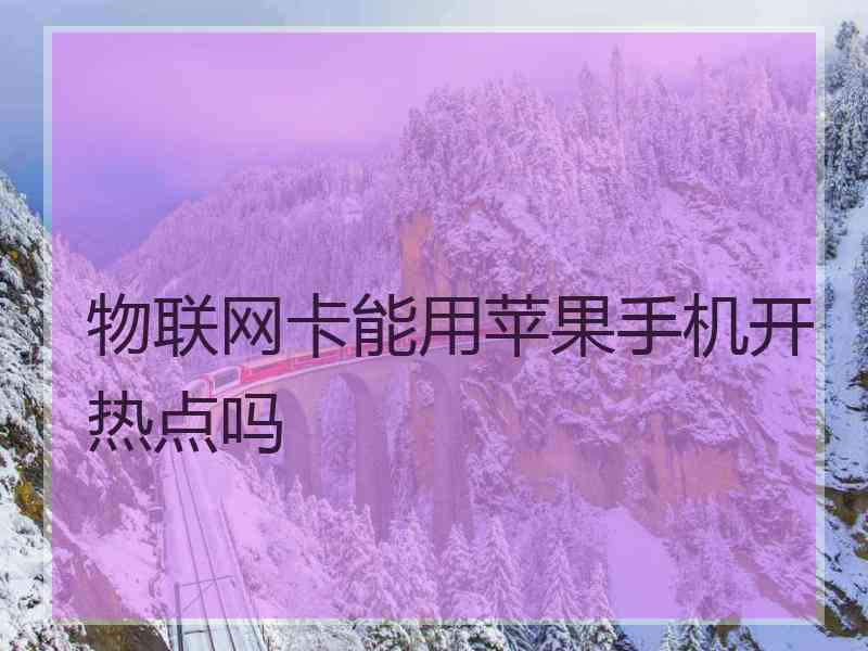 物联网卡能用苹果手机开热点吗