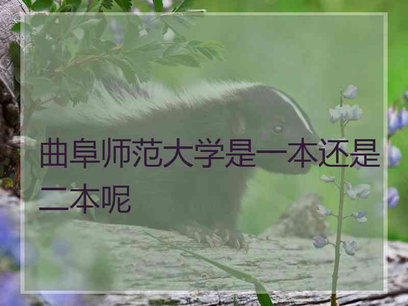 曲阜师范大学是一本还是二本呢