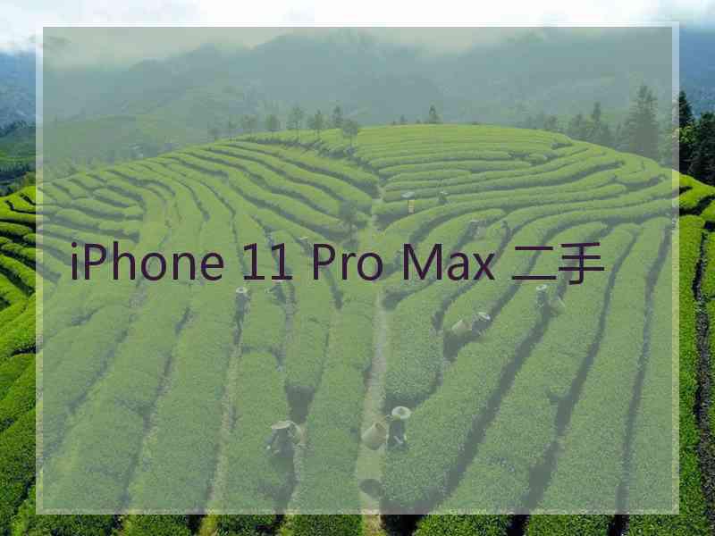 iPhone 11 Pro Max 二手