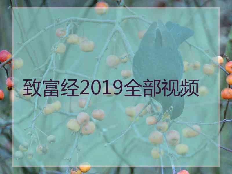 致富经2019全部视频