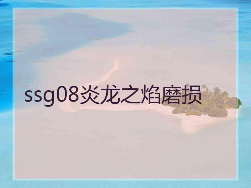 ssg08炎龙之焰磨损