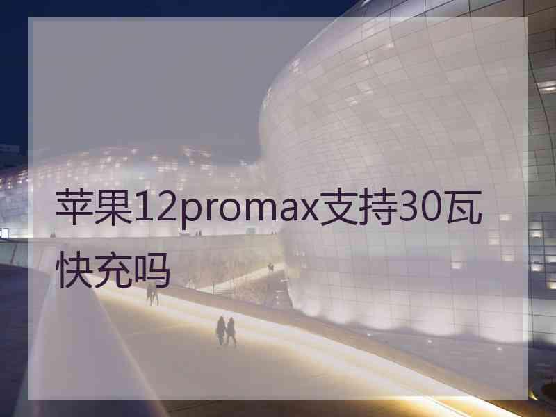 苹果12promax支持30瓦快充吗