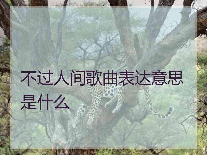 不过人间歌曲表达意思是什么