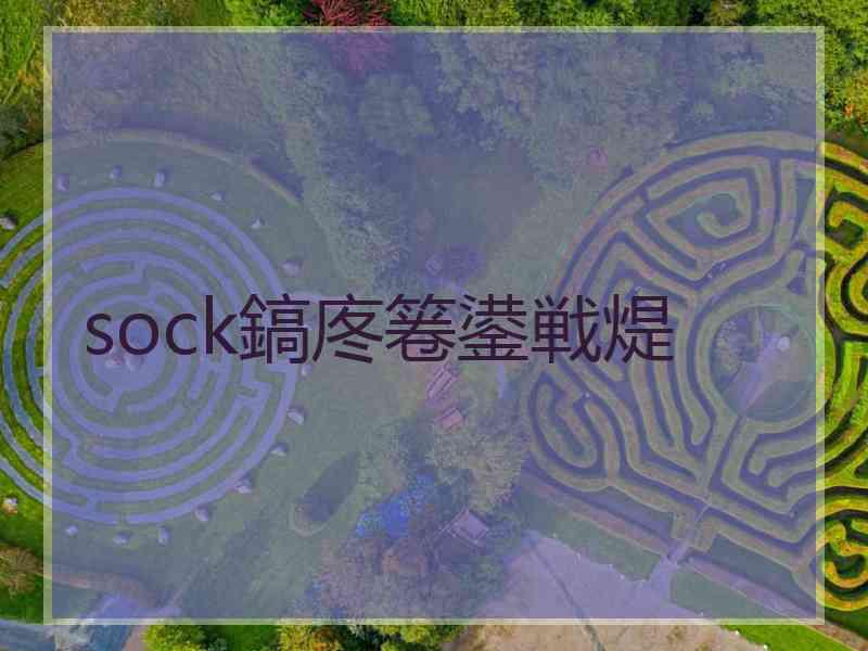 sock鎬庝箞鍙戦煶