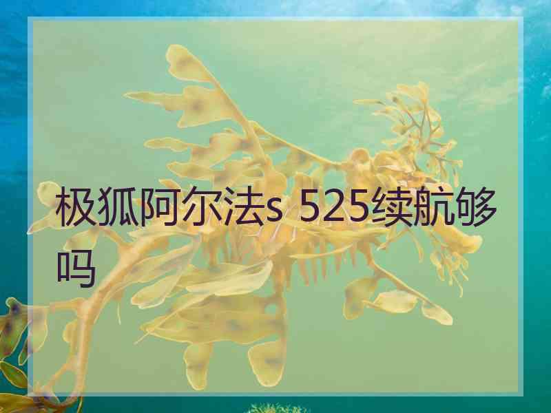 极狐阿尔法s 525续航够吗