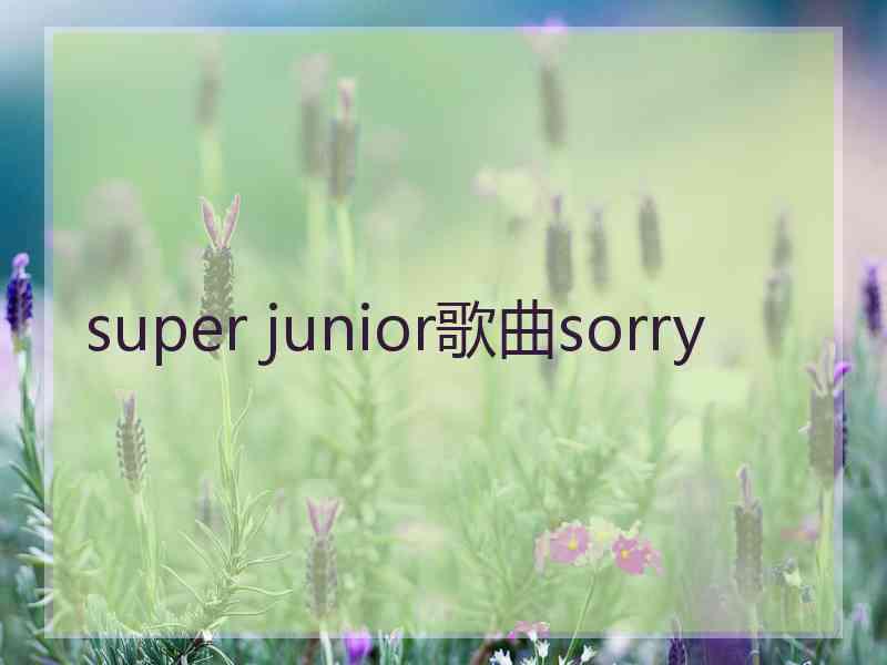 super junior歌曲sorry