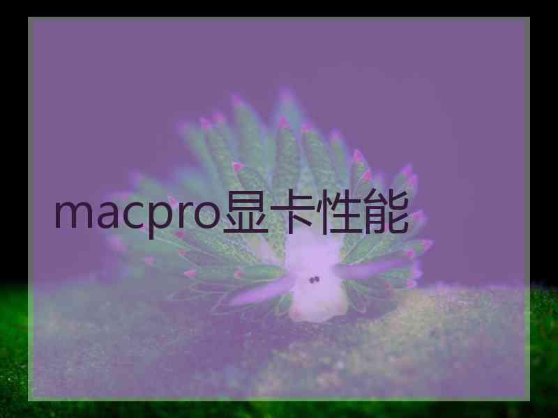 macpro显卡性能