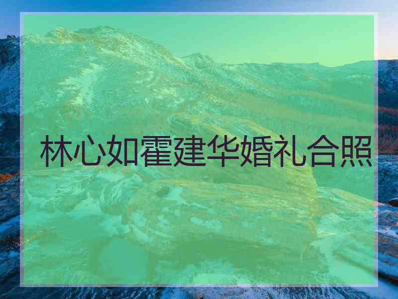 林心如霍建华婚礼合照