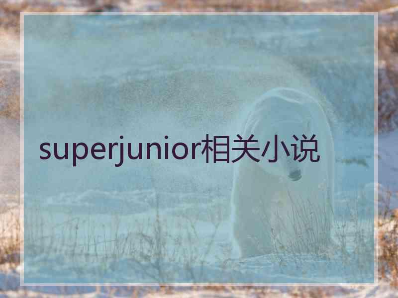 superjunior相关小说