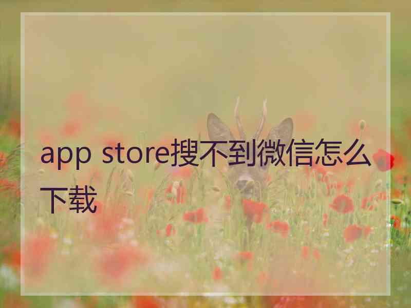 app store搜不到微信怎么下载