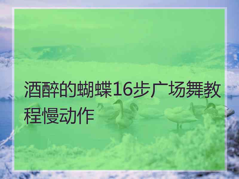 酒醉的蝴蝶16步广场舞教程慢动作