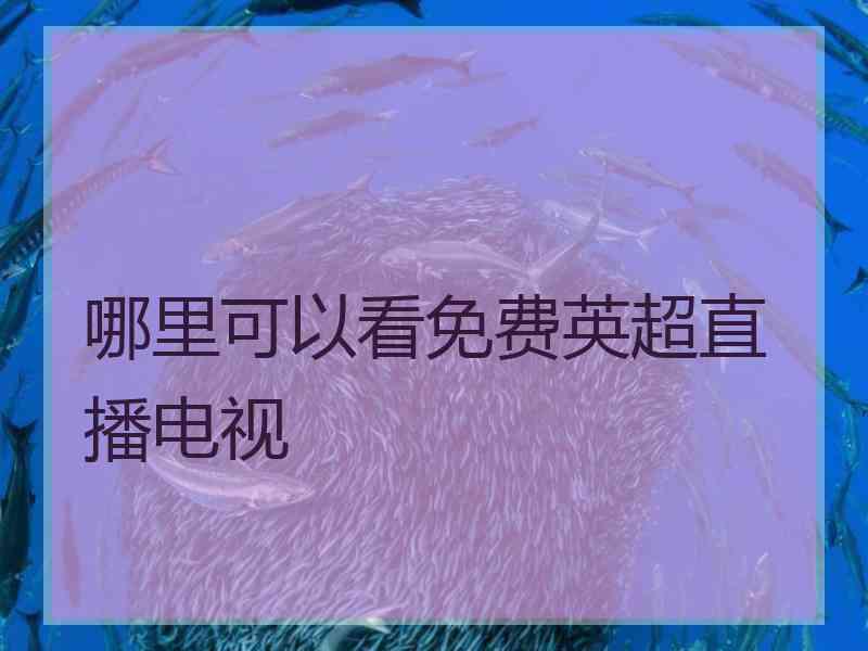 哪里可以看免费英超直播电视