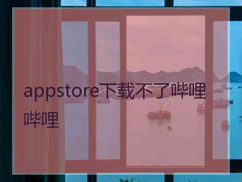 appstore下载不了哔哩哔哩