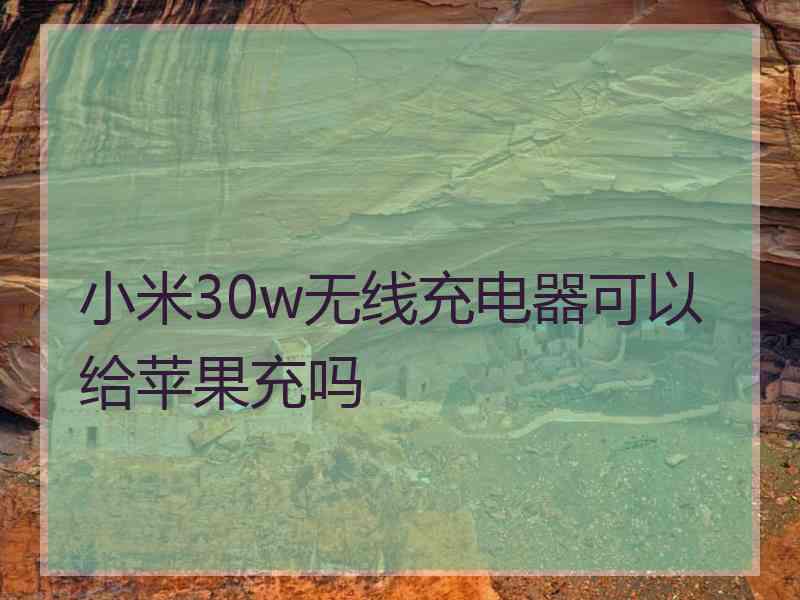 小米30w无线充电器可以给苹果充吗