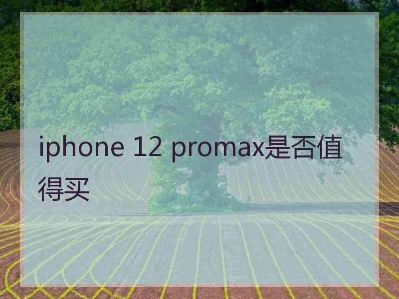 iphone 12 promax是否值得买