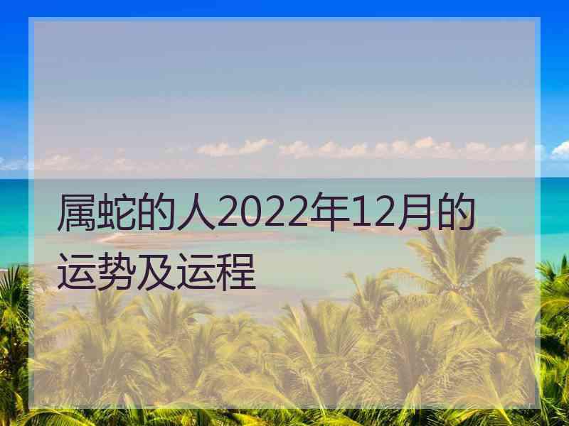 属蛇的人2022年12月的运势及运程